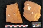 NHMW-GEO-2024-0188-10385b_Oa_02.tifCeratopetalum giselii Ettingshausen (NHMW-GEO-2024-0188-10385b)